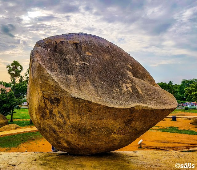 Krishna_s Butterball-5